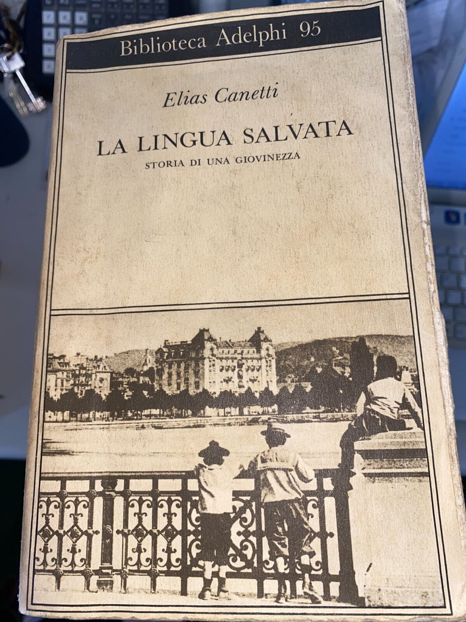 La lingua salvata. Storia di una giovinezza