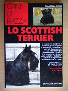 Lo scottish terrier