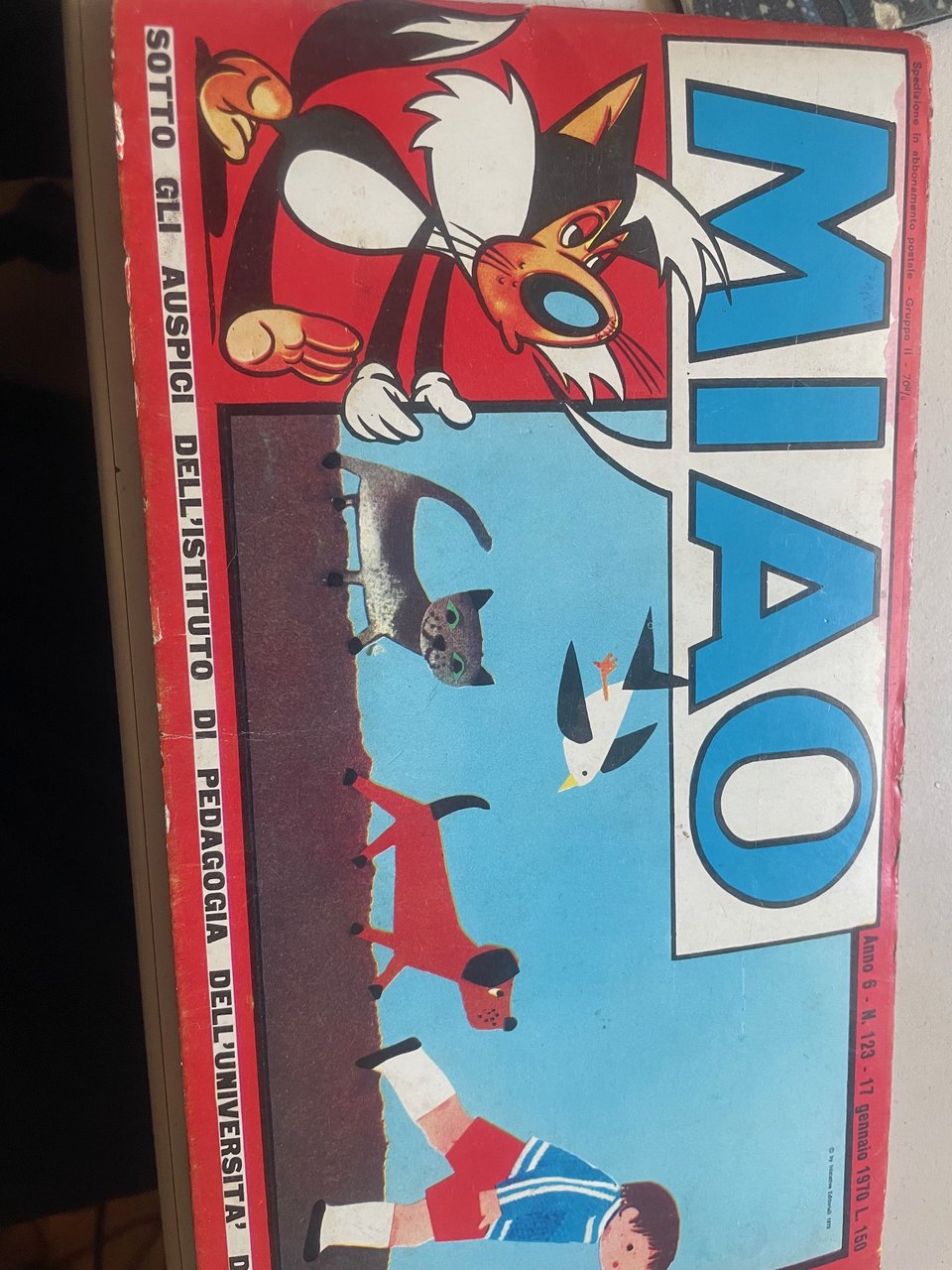 MIAO ANNO 6 N 123 | Immagine principale