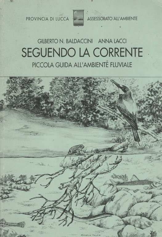 SEGUENDO LA CORRENTE PICCOLA GUIDA ALL'AMBIENTE FLUVIALE-G.BALDACCINI E A.LACCI