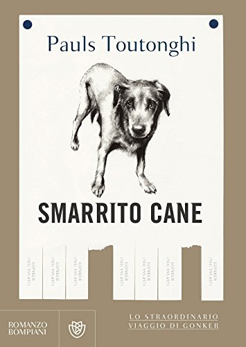Smarrito cane | Immagine principale