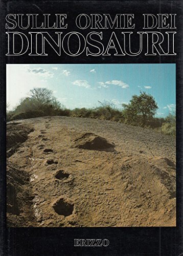 Sulle orme dei dinosauri. | Immagine principale