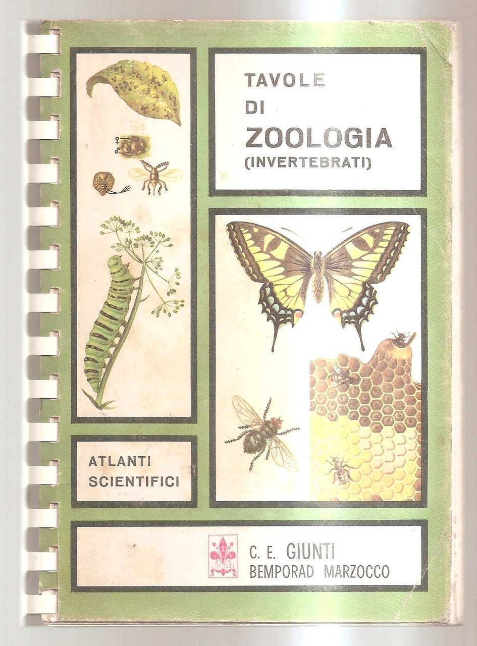 Tavole di zoologia invertebrati)