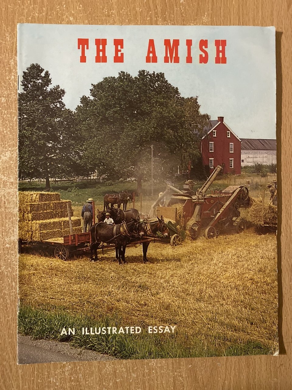 the amish an illutrated essay | Immagine principale