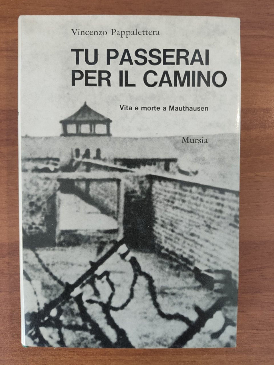 Tu passerai per il camino Vita e morte a Mauthausen … | Immagine principale
