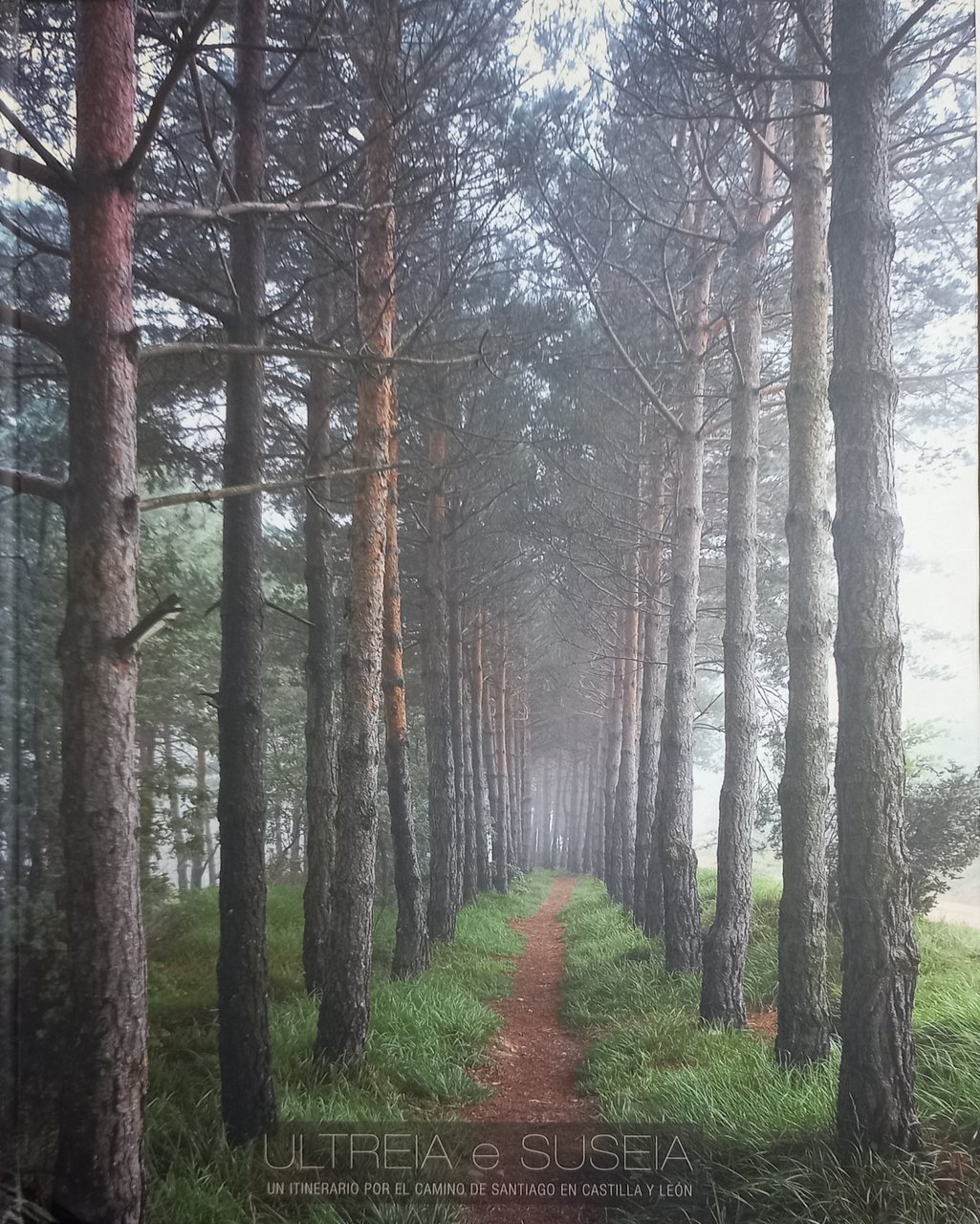 Ultreia e Suseia - un itinerario por el camino de …