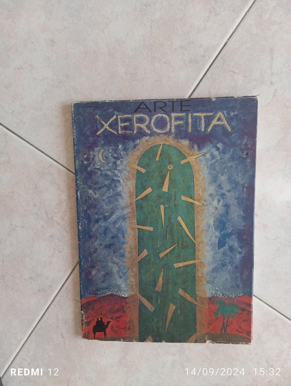 Arte xerofita