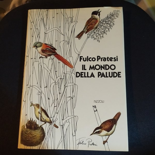 Il mondo della palude