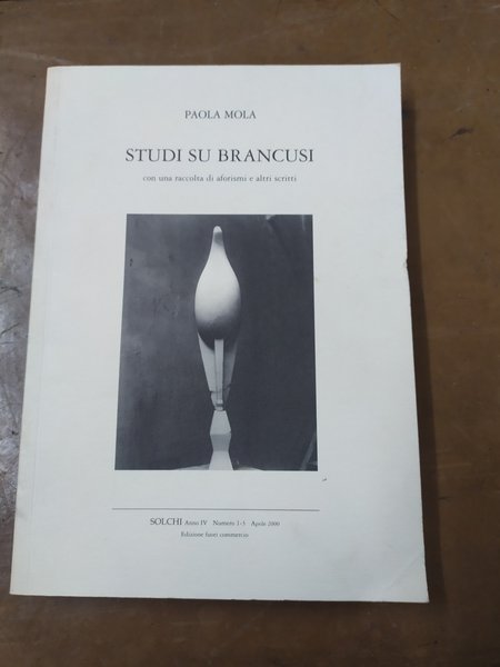 Studi su Brancusi