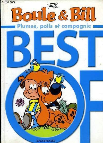 PARIGI DISEGNATA/EDIFICATA. LA PROFESSIONALIT