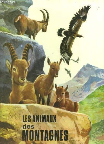 RICCARDO LICATA SULLA SOGLIA DEL SEGNO