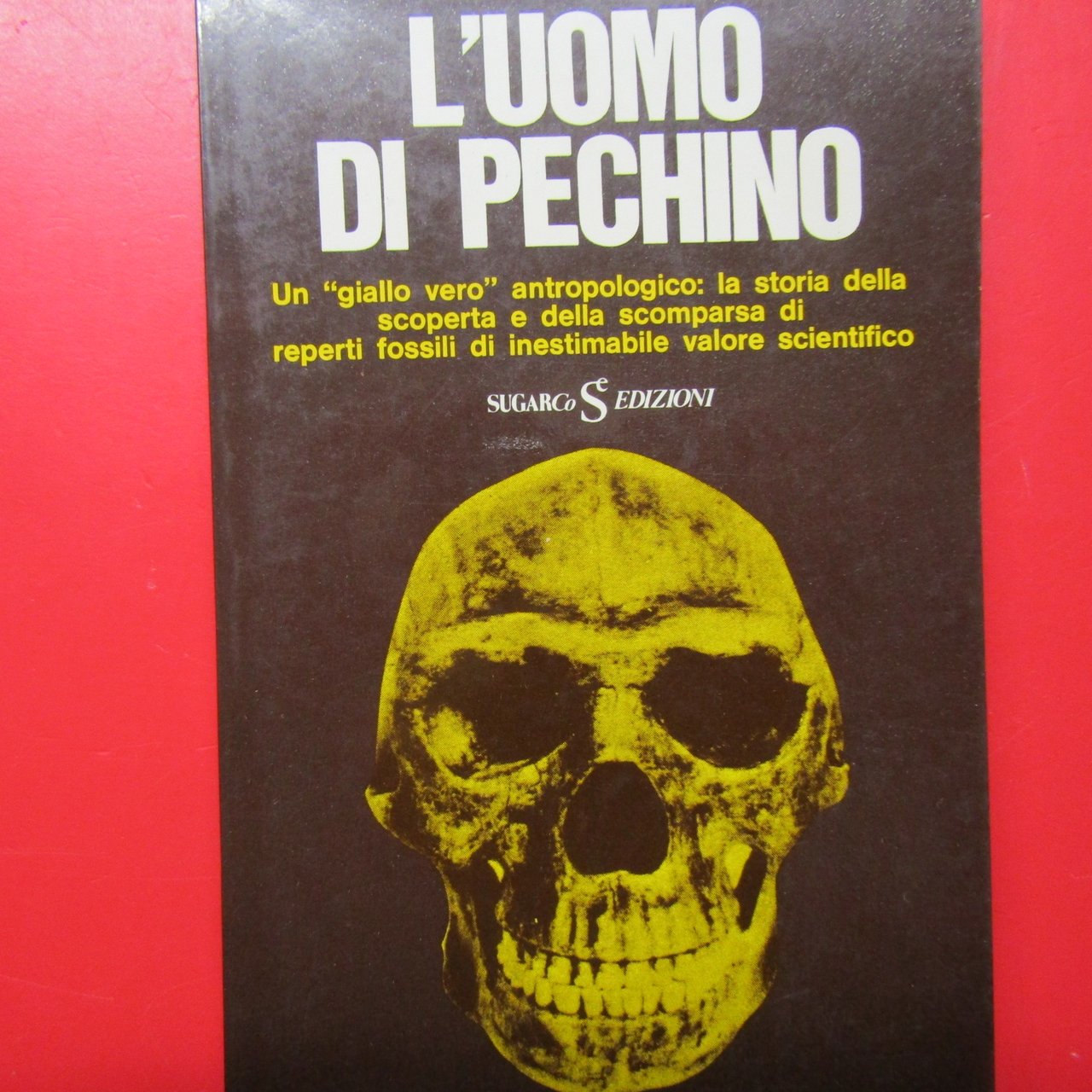 L'uomo di Pechino