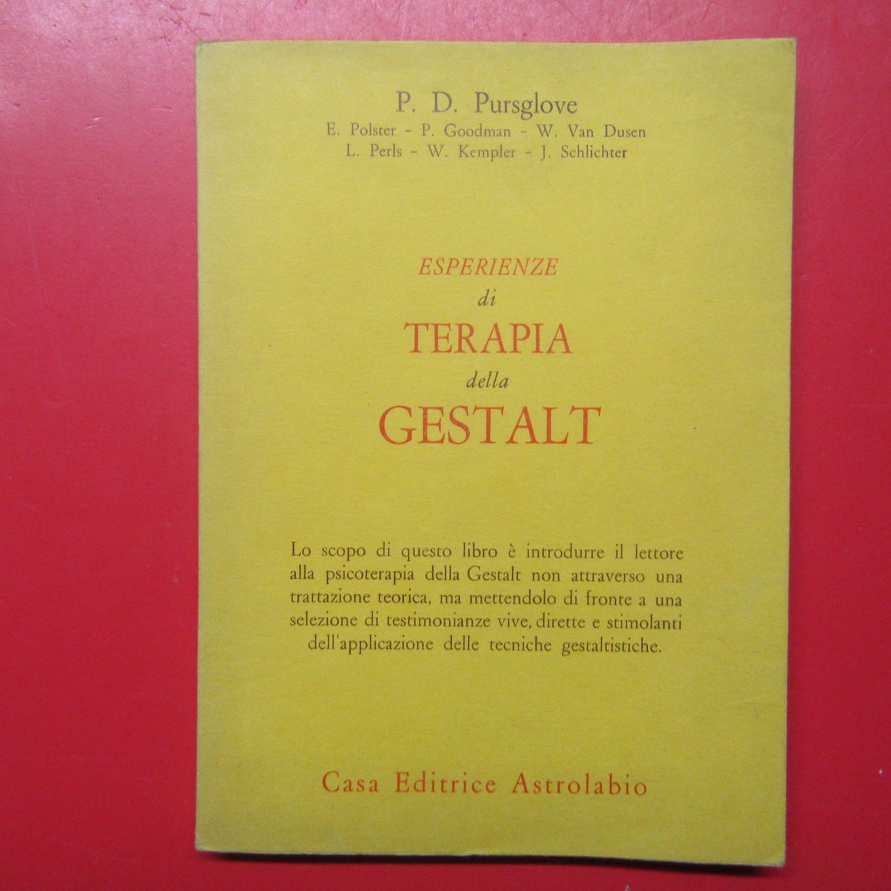 Esperienze di terapia della Gestalt