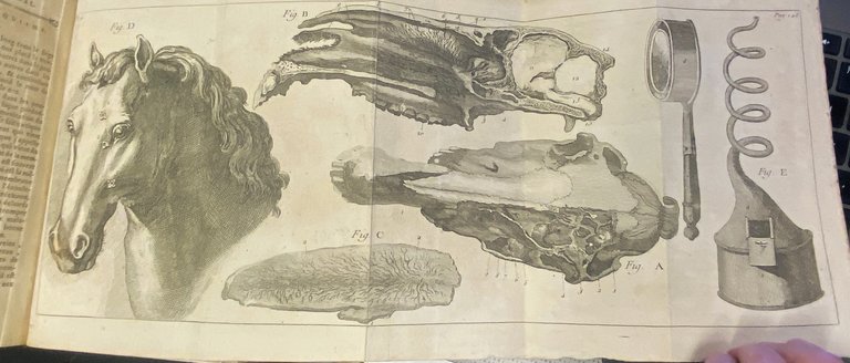 Guide du Maréchal Ouvrage contenant une Connoissance exacte du Cheval, … | Immagine Gallery 3