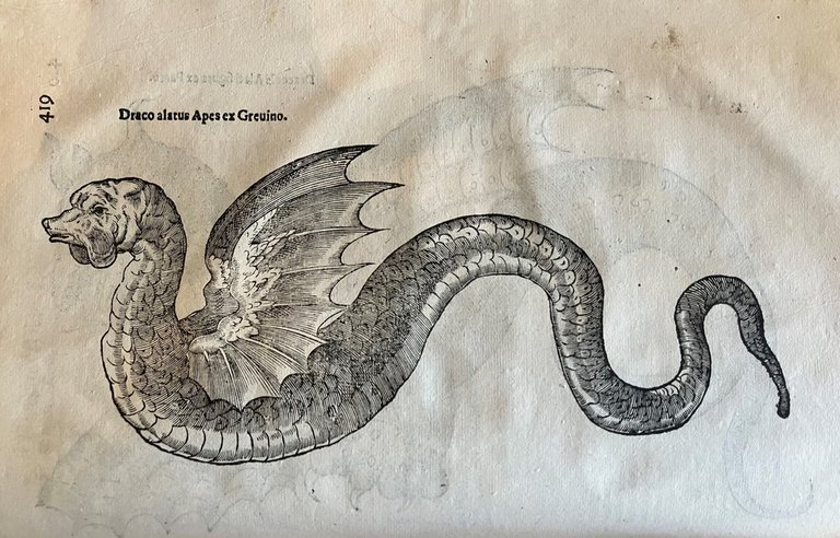 Serpentum, et draconum historiae libri duo | Immagine Gallery 8