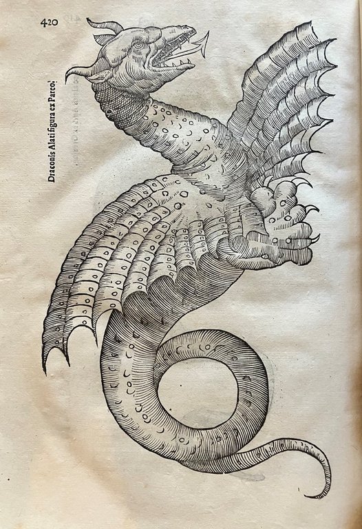 Serpentum, et draconum historiae libri duo | Immagine Gallery 6