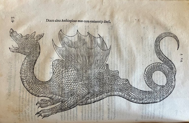 Serpentum, et draconum historiae libri duo | Immagine Gallery 5