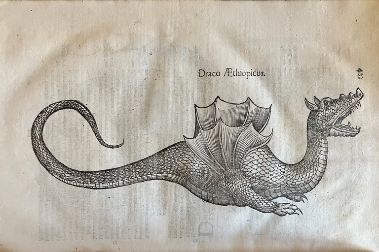 Serpentum, et draconum historiae libri duo | Immagine Gallery 7