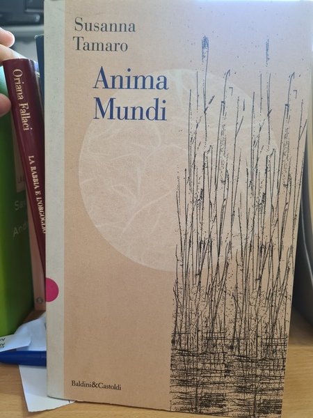 Anima Mundi