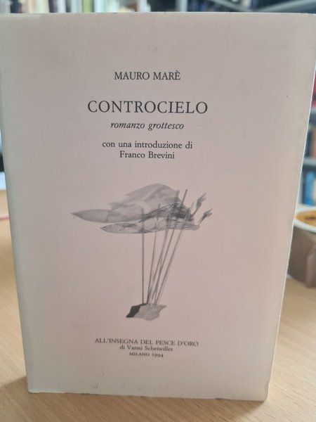 Controcielo, romanzo grottesco