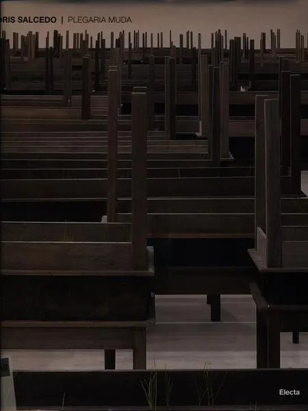 Doris Salcedo Plegaria Muda