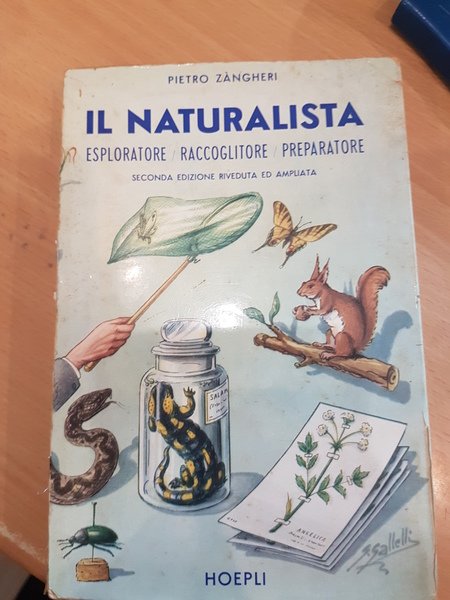 Il naturalista esploratore raccoglitore preparatore