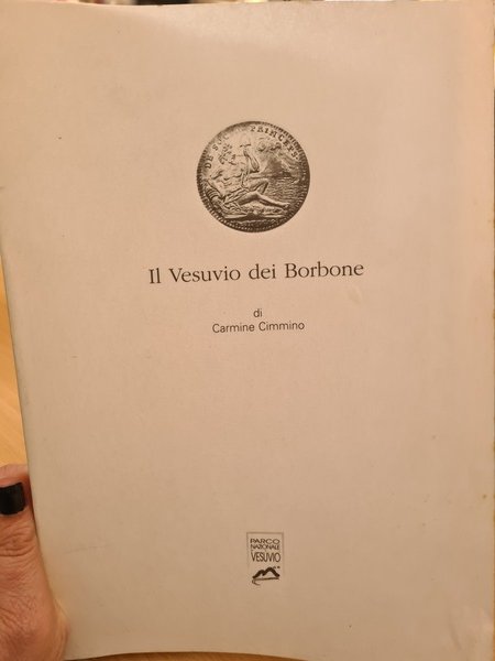 Il Vesuvio dei Borbone