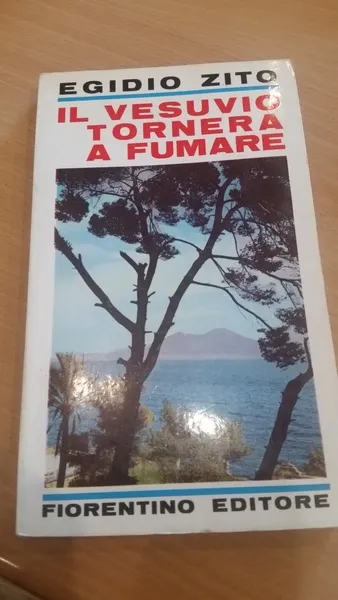 il vesuvio tornera' a fumare | Immagine principale