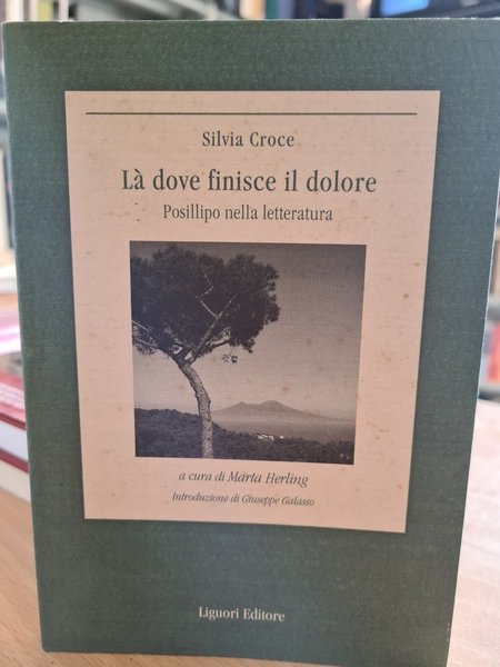 La' dove finisce il dolore. Posillipo nella letteratura