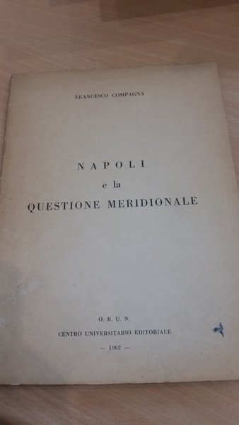 napoli e la questione meridionale