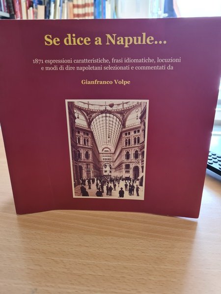 Se dice a Napoli. 1871 espressioni caratteristiche, frasi idiomatiche, locuzioni …