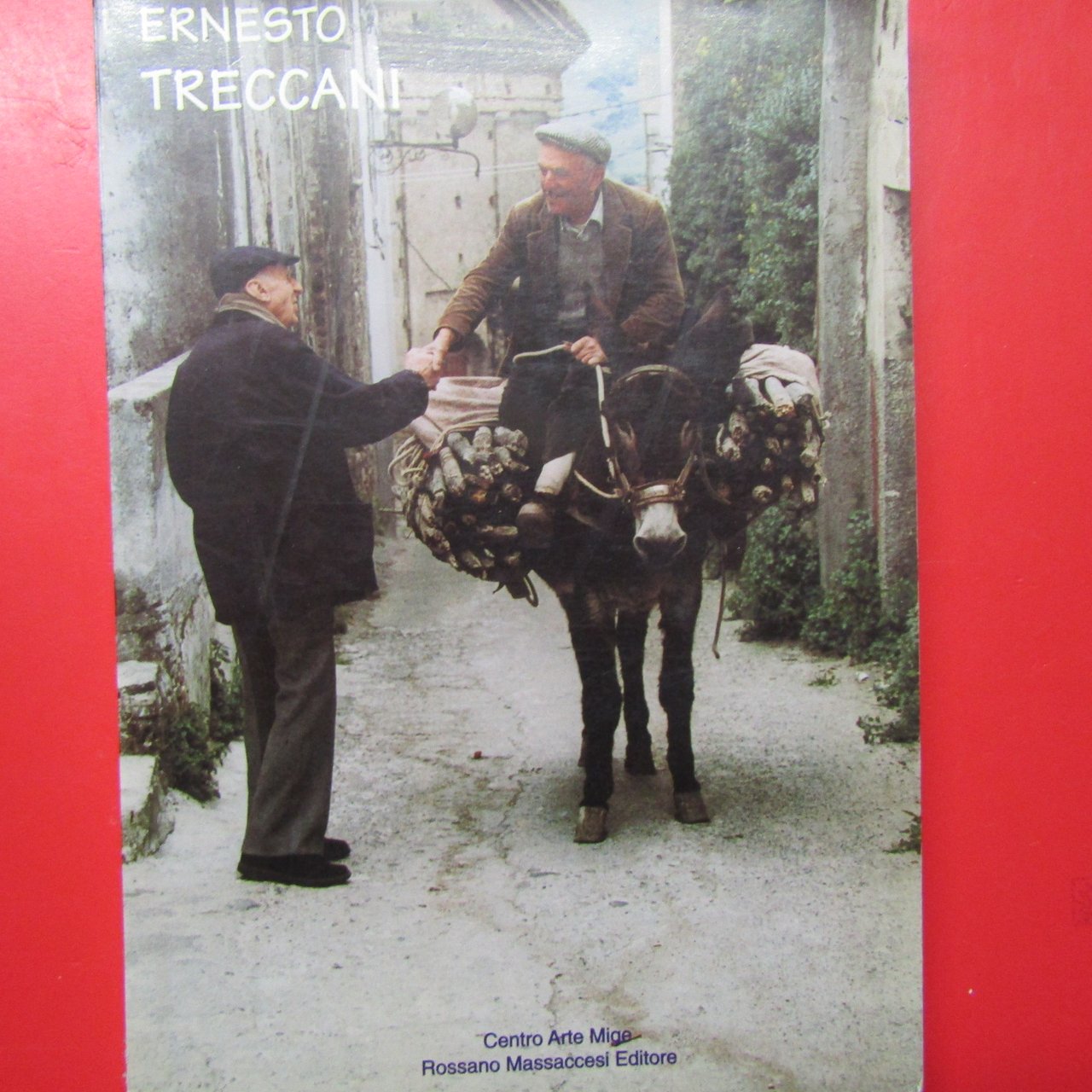 Ernesto Treccani