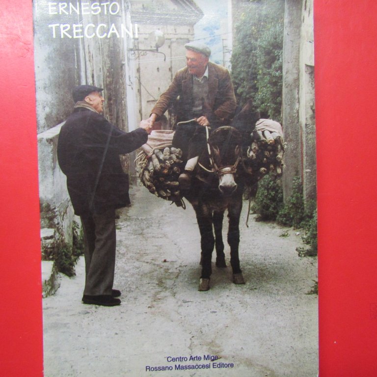 Ernesto Treccani