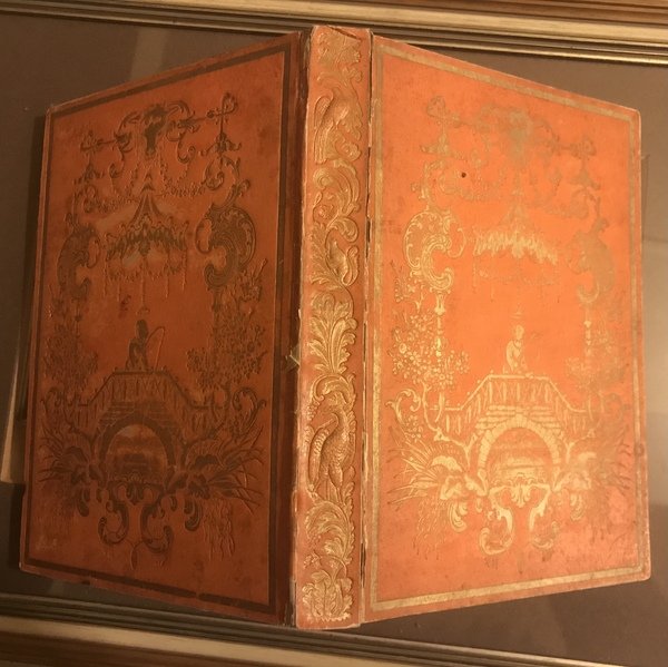 FIORE SIMPATICO. Strenna pel Capo d'Anno e pei Giorni Onomastici. | Immagine principale