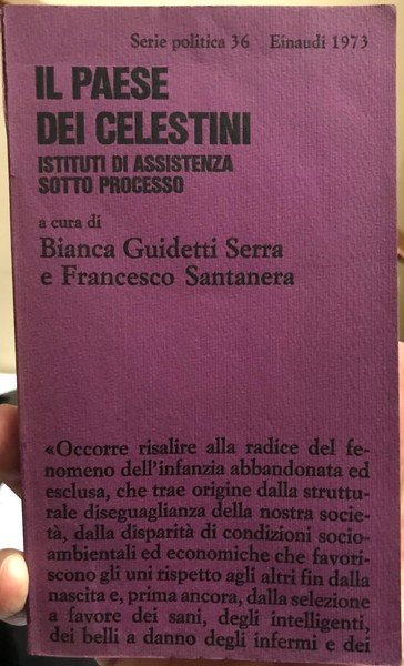Il Paese dei celestini, Istituti di Assistenza sotto processo