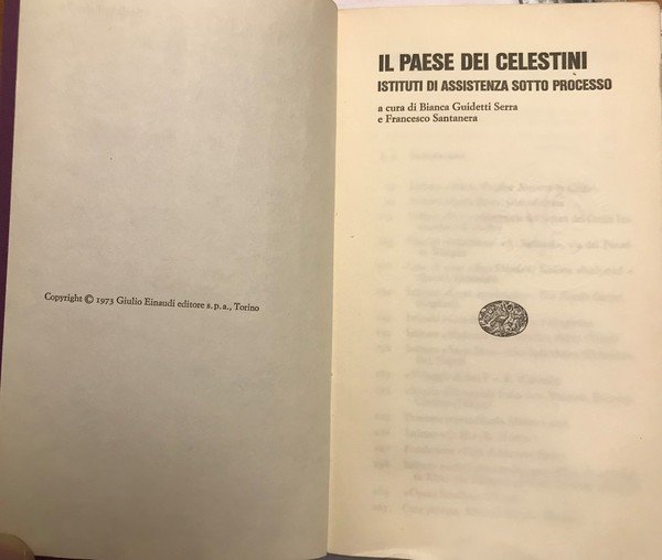 Il Paese dei celestini, Istituti di Assistenza sotto processo
