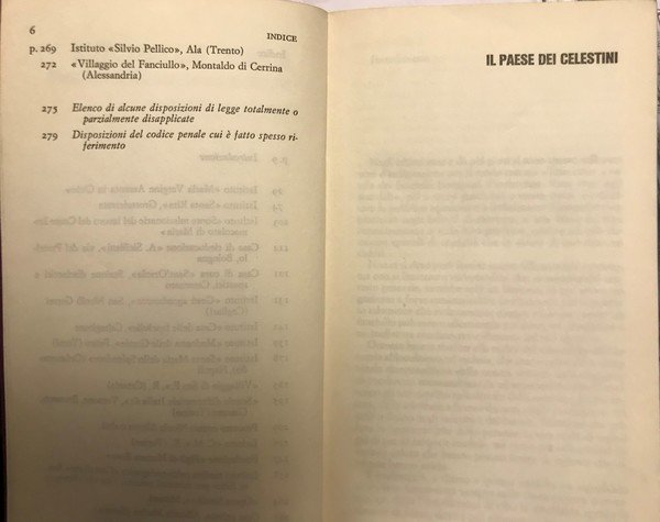 Il Paese dei celestini, Istituti di Assistenza sotto processo