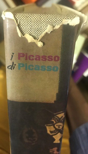 I Picasso di Picasso