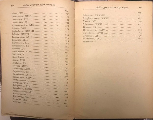 PIANTE MEDICINALI D'ITALIA