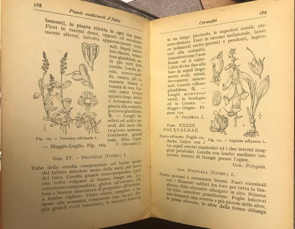 PIANTE MEDICINALI D'ITALIA