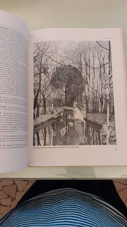 ATLANTE DELLA BASSA. VOLUME 2 UOMINI, VICENDE, PAESI DELLA PIANURA … | Immagine Gallery 11