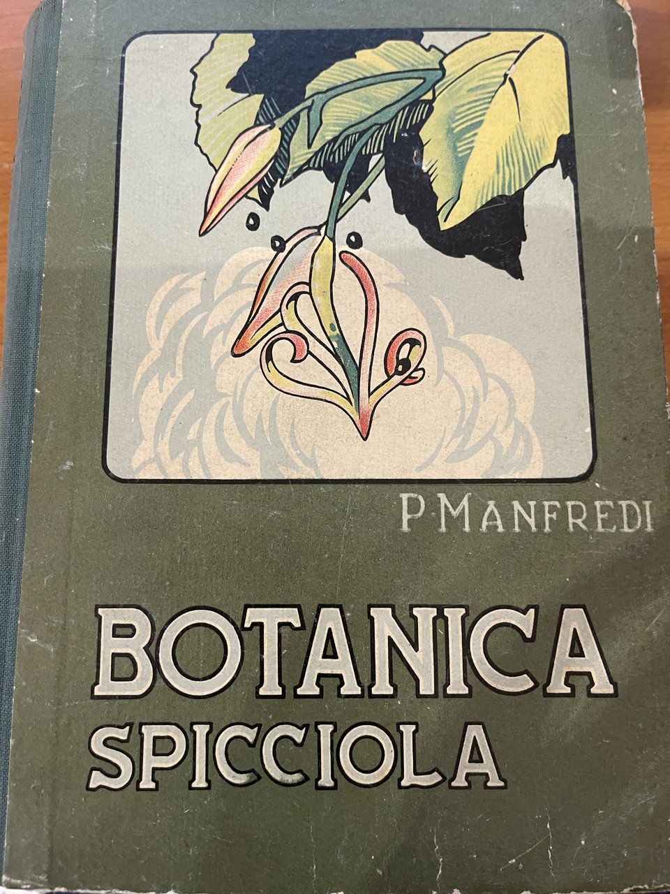 Botanica Spicciola