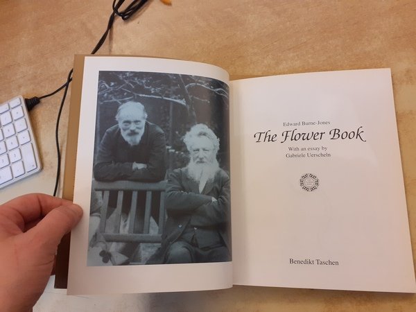 Edward Burne-Jones. The flower book