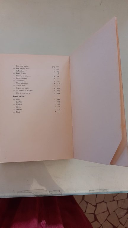 Fiori di bosco | Immagine Gallery 9