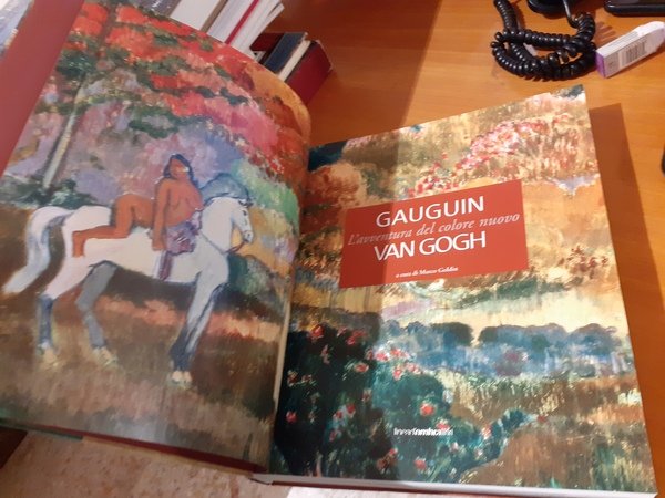 Gauguin Van Gogh. L'avventura del colore nuovo