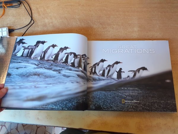 Great migrations. Official companion to the national geographic channel global …