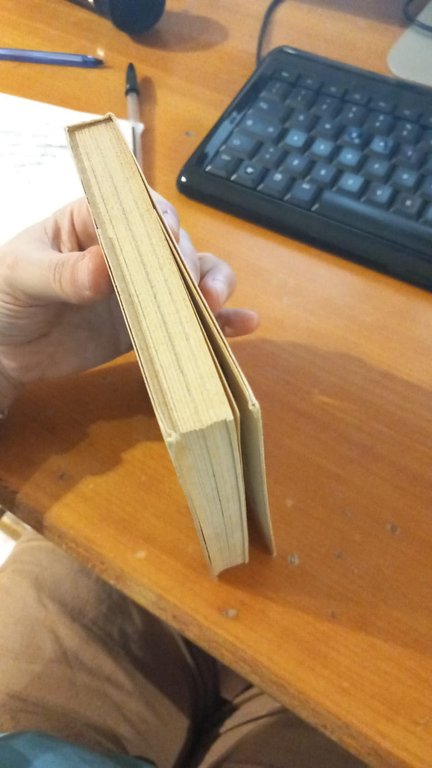 I santuari bresciani. Libro terzo | Immagine Gallery 2