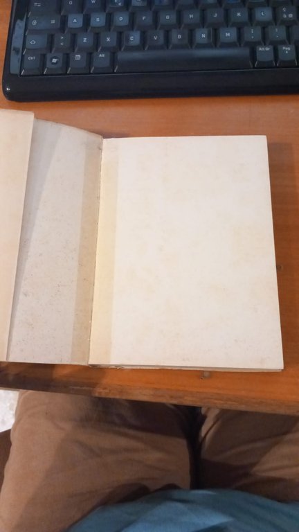 I santuari bresciani. Libro terzo | Immagine Gallery 3