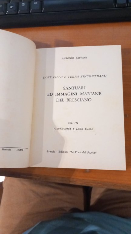 I santuari bresciani. Libro terzo | Immagine Gallery 4