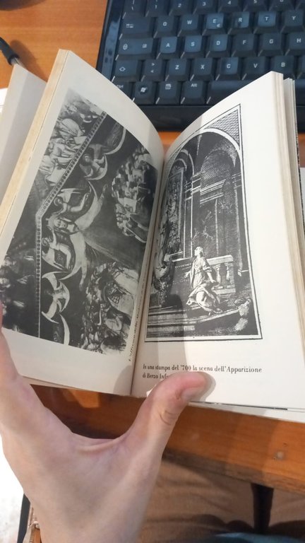 I santuari bresciani. Libro terzo | Immagine Gallery 5